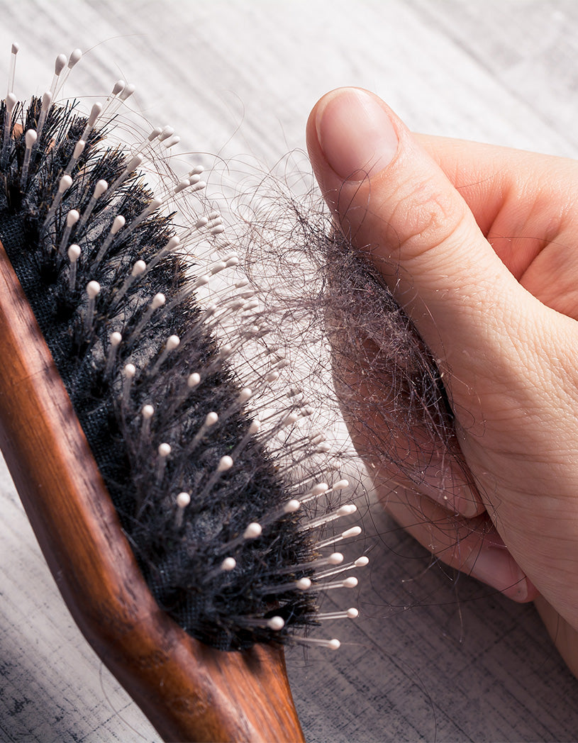 hair pulling out of a boar hair brush 