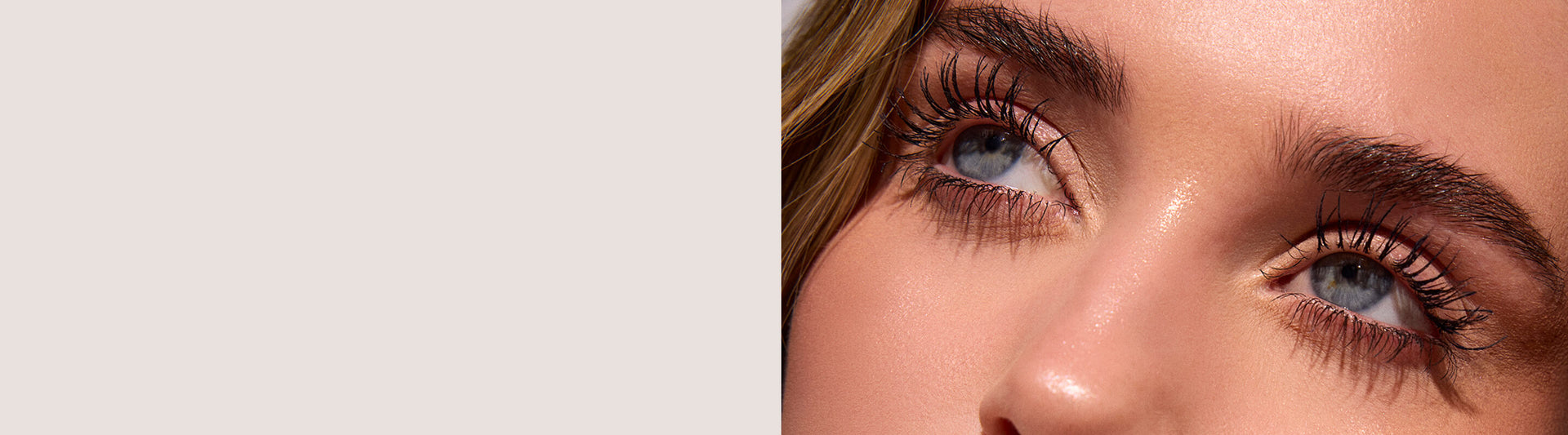 Length Define Lash Desktop banner